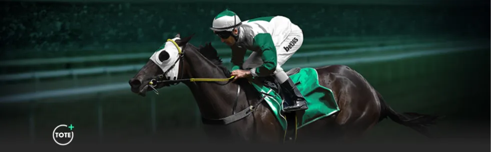 风雨兼程,周年特刊,李久林,乐彩,乐彩体育,LeCai,乐彩体育官网