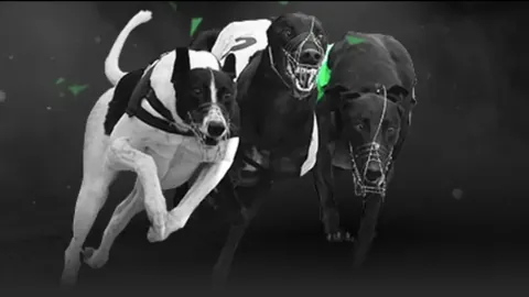 库里回归赛场遭遇开局尴尬：勇士4分钟8投1中仅获2分，科尔面露忧虑