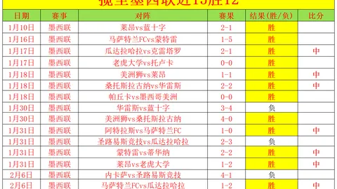 豪尔费坎客场挑战：19胜13期专家质合分析及前区十码推荐